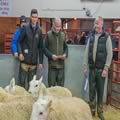 Reserve Champion South Country Cheviots (1)